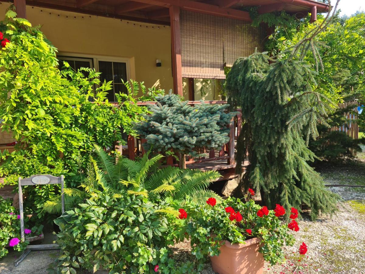Apartament Malinowa Dolina Klodzko Exterior photo